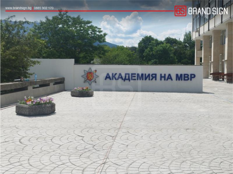 Бизнес